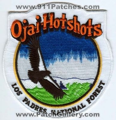 Ojai Hotshots Patch (California)
[b]Scan From: Our Collection[/b]
Keywords: fire wildland shots los padres national forest
