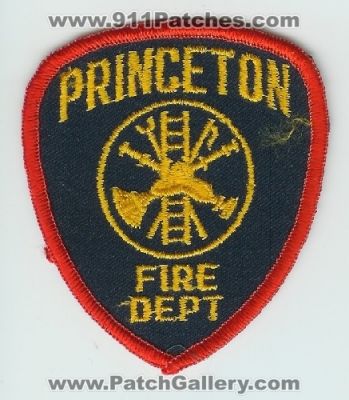 Princeton Fire Department (UNKNOWN STATE)
Thanks to Mark C Barilovich for this scan.
Keywords: dept.