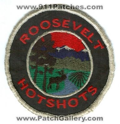 Roosevelt National Forest HotShots Wildland Fire Patch (Colorado)
Scan By: PatchGallery.com
Keywords: wildfire