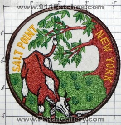 Salt Point Fire Department (New York)
Thanks to swmpside for this picture.
Keywords: dept.