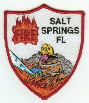 Salt Springs Fire
Thanks to PaulsFirePatches.com for this scan.
Keywords: florida
