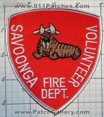 Savoonga Volunteer Fire Department (Alaska)
Thanks to swmpside for this picture.
Keywords: dept.