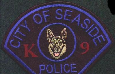 Seaside Police K-9
Thanks to EmblemAndPatchSales.com for this scan.
Keywords: california city of k9