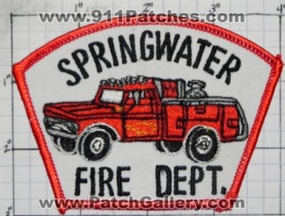 Springwater Fire Department (New York)
Thanks to swmpside for this picture.
Keywords: dept.