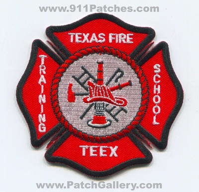 TEXAS ACADEMY of  FIRE SCIENCE Fire  Patch 