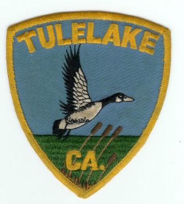 Tulelake Fire
Thanks to PaulsFirePatches.com for this scan.
Keywords: california