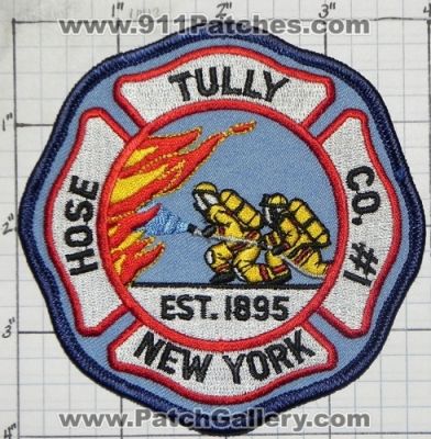 Tully Fire Hose Company Number 1 (New York)
Thanks to swmpside for this picture.
Keywords: co. #1