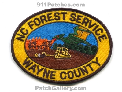 Wayne County Forest Fire Service Wildfire Wildland Patch (North Carolina)
Scan By: PatchGallery.com
Keywords: co.