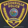 Brooksville_2_FL-1.JPG