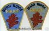 Filename=Burr_Ridge_2_ILP.JPG
Filesize=26KiB
Dimensions=400x259
Date added=Dec 20, 2007 Burr_Ridge_2_ILP.JPG