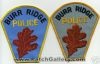 Burr_Ridge_2_ILP.JPG