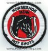 Horseshoe_Meadows_Hot_Shots_Type_1.jpg