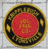 Kripplebush-Lyonsville-NYFr.jpg