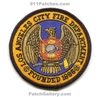 Los-Angeles-City-v8-CAFr.jpg