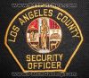 Los-Angeles-Security-CAPr.jpg