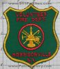 Morrisonville-NYFr.jpg