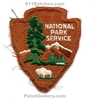 NPS-NSOr.jpg