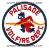 Palisade-Volunteer-Fire-Department-Dept-Patch-Colorado-Patches-COFr.jpg