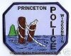 Princeton_WIP.JPG
