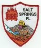 Salt_Springs_FL.jpg