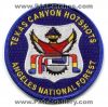 Texas-Canyon-HotShots-Angeles-National-Forest-Wildland-Wildfire-Fire-Patch-California-Patches-CAFr.jpg