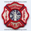 Wantagh-Fire-Department-Dept-Hook-Ladder-Engine-Company-Patch-New-York-Patches-NYFr.jpg
