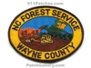 Wayne-Co-Forest-Service-NCFr.jpg