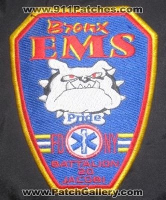 FDNY Fire EMS Battalion 20 (New York)
Thanks to derek141 for this picture.
Keywords: department