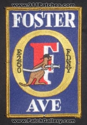 FDNY Fire Engine 250 (New York)
Thanks to derek141 for this picture.
Keywords: department