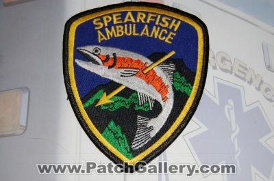 Spearfish Ambulance (South Dakota)
Thanks to Emergency_Medic for this picture.
Keywords: ems