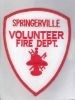 Springerville_Volunteer_Fire_Dept_start_here.jpg