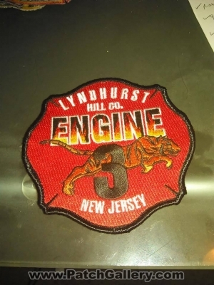 LYNDHURST FIRE DEPARTMENT ENGINE 3
Thanks to Ronnie5411

