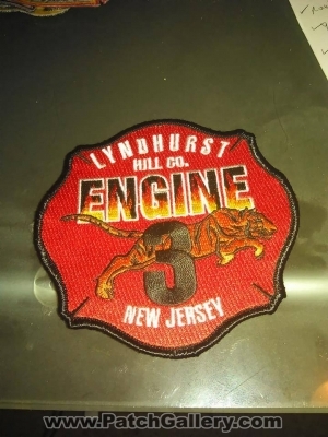LYNDHURST FIRE DEPARTMENT ENGINE 3
Thanks to Ronnie5411
