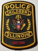 Kildeer_PD.jpg