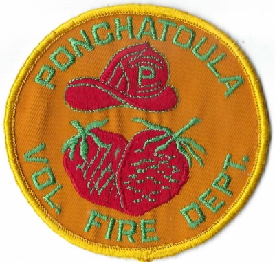Ponchatoula Volunteer Fire Department (LA)
Ponchatoula, Louisiana, earned its title as the "Strawberry Capital of the World" due to its historical prominence as a major strawberry producer, particularly in the early 20th century. 
