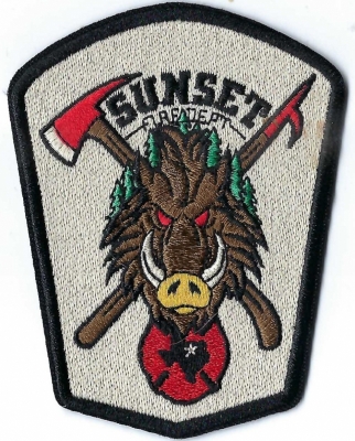 Sunset Fire Department (TX)
Feral hogs have spread all across Texas and are believed to have a population of over 1.5 million.  Town Population < 2,000.

