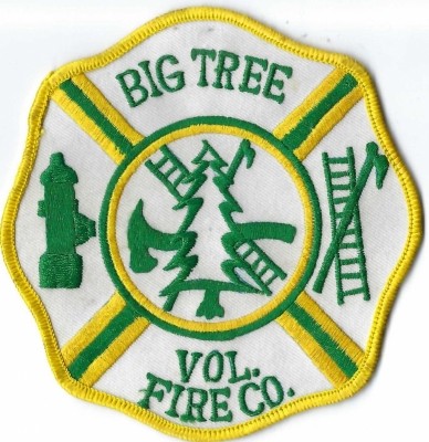 Big Tree Volunteer Fire Company (NY)

