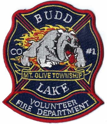 Budd Lake Volunteer Fire Department (NJ)
