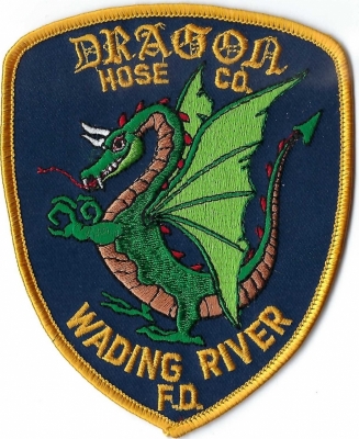 Dragon Hose Company (NY)
