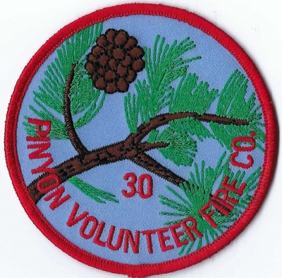 Riverside County Station #30 - Pinyon (CA)
DEFUNCT - Pinyon Volunteer Fire Company
