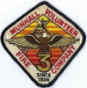 Munhall_vfd.jpg