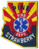 Pine_strawberry_fd.jpg