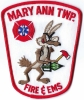 mary_ann_twp__fd.jpg