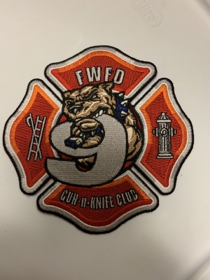 FORT WAYNE FIRE (Indiania)
