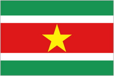 REPUBLIC OF SURINAME * FLAG
