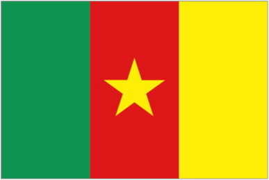 CAMEROON * FLAG
