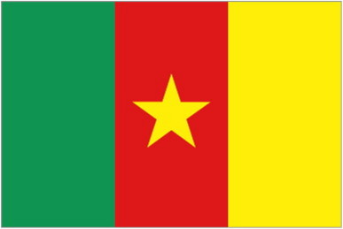 CAMEROON * FLAG
