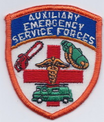 Auxiliary Emergency Service Forces (NY)
