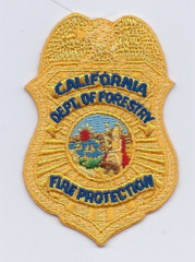 California Department of Forestry Chief (CA)
