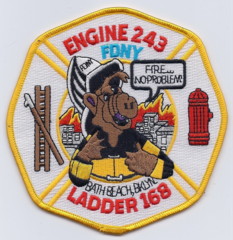 New York E-243 L-168 (NY)
